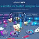 enamel is the hardest surface in the body, habits that harm enamel